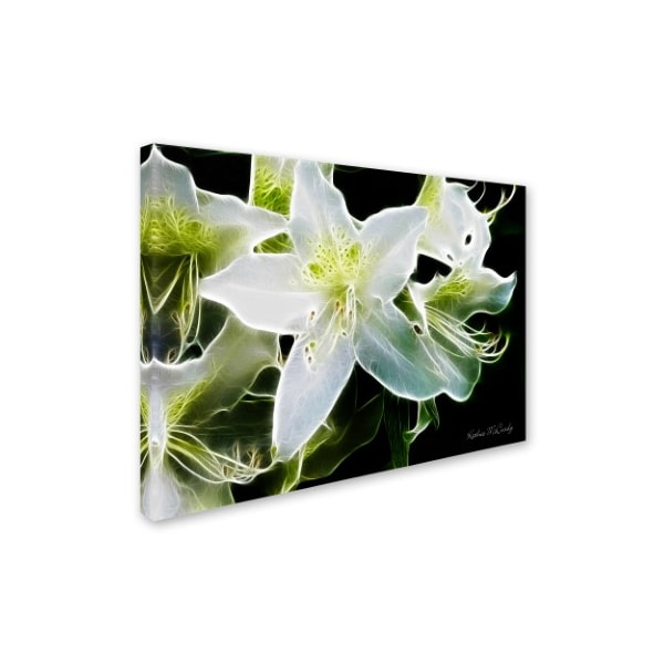 Kathie McCurdy 'White Azalea' Canvas Art,22x32